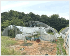  2025Ÿ��51391 �泲 ������ �۾��� ��� 353-18      ����(��1)���