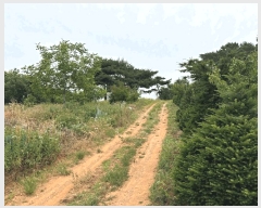  2025Ÿ��51391 �泲 ������ �۾��� ��� 353-18      ����(��1)���