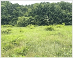  2025Ÿ��51391 �泲 ������ �۾��� ��� 353-18      ����(��1)���