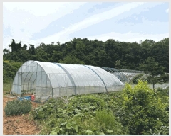  2025Ÿ��51391 �泲 ������ �۾��� ��� 353-18      ����(��1)���