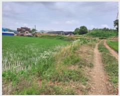  2025Ÿ��51408  �Ӿ߰��