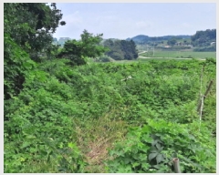  2025Ÿ��51408  �Ӿ߰��