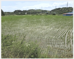  2025Ÿ��51408  �Ӿ߰��