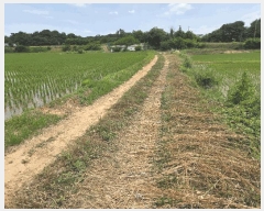  2025Ÿ��51408  �Ӿ߰��