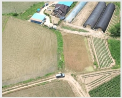  2025Ÿ��51408  �Ӿ߰��