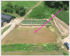  2025Ÿ��51408  �Ӿ߰��