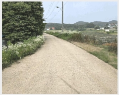  2025Ÿ��51421 �泲 ������ ������ ����� 251-26      ����(�Ӿ�)���