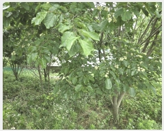  2025Ÿ��51421 �泲 ������ ������ ����� 251-26      ����(�Ӿ�)���