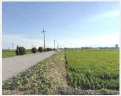  2025Ÿ��51433 �泲 ������ �մ��� �Ÿ� 76-3      ����(��)���