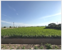  2025Ÿ��51433 �泲 ������ �մ��� �Ÿ� 76-3      ����(��)���