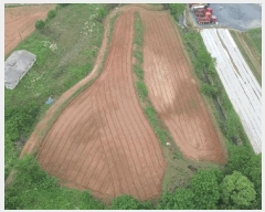  2025Ÿ��51437  �����