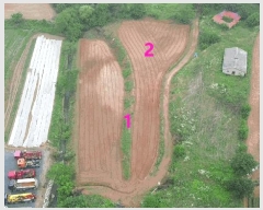  2025Ÿ��51437  �����