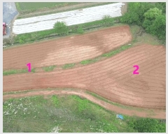  2025Ÿ��51437  �����