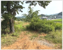  2025Ÿ��51437  �����