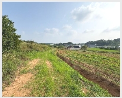  2025Ÿ��51437  �����