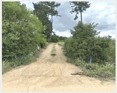  2025Ÿ��51447 �泲 ������ ������ ������ 163-2      ����(��1)���