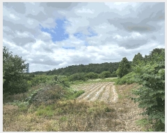  2025Ÿ��51447 �泲 ������ ������ ������ 163-2      ����(��1)���