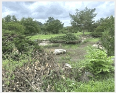  2025Ÿ��51447 �泲 ������ ������ ������ 163-2      ����(��1)���