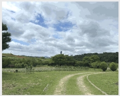  2025Ÿ��51447 �泲 ������ ������ ������ 163-2      ����(��1)���