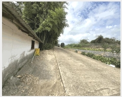  2025Ÿ��51447 �泲 ������ ������ ������ 163-2      ����(��1)���