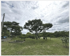  2025Ÿ��51447 �泲 ������ ������ ������ 163-2      ����(��1)���