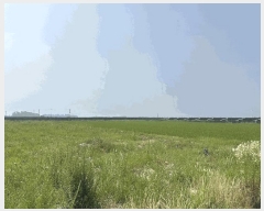  2025Ÿ��51487  ����