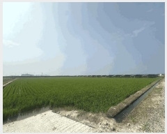  2025Ÿ��51487  ����