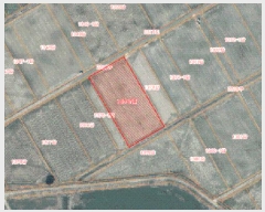  2025Ÿ��51487  ����