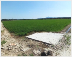  2025Ÿ��51487  ����