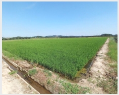  2025Ÿ��51487  ����