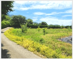  2025Ÿ51527 泲  ϸ ϸ 477-1      (1)