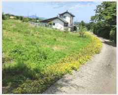  2025Ÿ51527 泲  ϸ ϸ 477-1      (1)