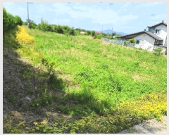  2025Ÿ51527 泲  ϸ ϸ 477-1      (1)