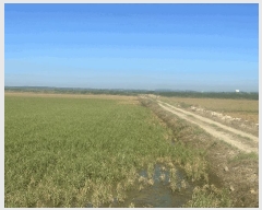  2025Ÿ��51532 �泲 ����� �μ��� ������ 946-1      ����(��)���