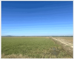  2025Ÿ��51532 �泲 ����� �μ��� ������ 946-1      ����(��)���