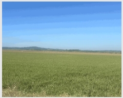  2025Ÿ��51532 �泲 ����� �μ��� ������ 946-1      ����(��)���