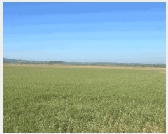  2025Ÿ��51532 �泲 ����� �μ��� ������ 946-1      ����(��)���