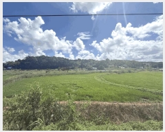  2025Ÿ��51534  ����