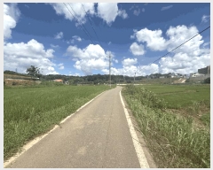  2025Ÿ��51534  ����