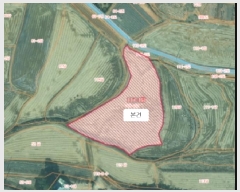  2025Ÿ��51534  ����