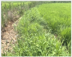  2025Ÿ��51534  ����