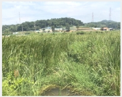  2025Ÿ��51534  ����