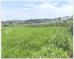  2025Ÿ��51534  ����