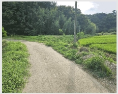  2025Ÿ��51576  �����