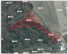  2025Ÿ��51576  �����