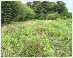  2025Ÿ��51576  �����