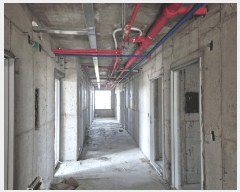  2025Ÿ��51612 �泲 ������ ������ ����׸� 1334      ����(����)���