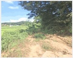  2025Ÿ��51619 �泲 ������ ������ ���긮 111-2      ����(��1)���