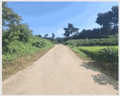  2025Ÿ��51619 �泲 ������ ������ ���긮 111-2      ����(��1)���