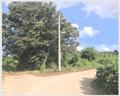  2025Ÿ��51619 �泲 ������ ������ ���긮 111-2      ����(��1)���